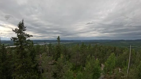 High angle wide landscape of Northern Finland pine forest under overcast sky 動画素材 340653404