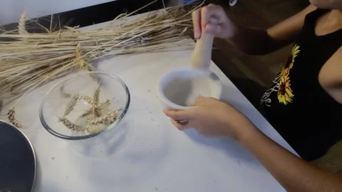 High Angle Wide Shot of Student Grinding Wheat Grains with Mortar Pestle for Stock Footage 341879987