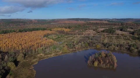 High angle Worgreens Lake, Forest of Dean. Stock Footage 263421961