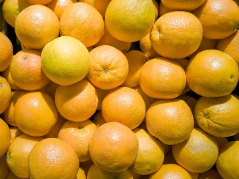 High angle, yellow mandarin oranges, placed in large numbers, in a supermarket. Stock Photos