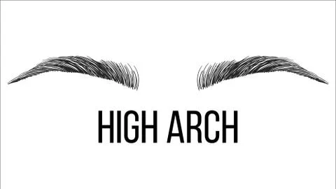 High Arch Vector Hand Drawn Brows Shape Stock Illustration