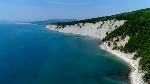 High black sea beach pine trees hang from the high shore of the Black sea. Vídeos de archivo 118170663