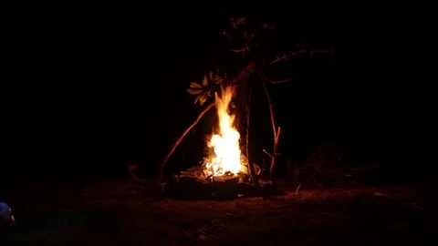 High Bonfire at night outdoor Stock Footage 117902841