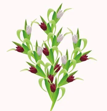 High bouquet of tulips Stock Illustration