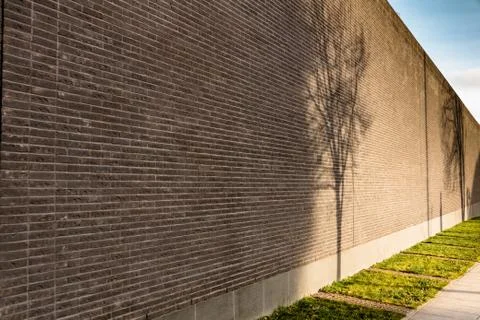 High brick wall with shadows falling on her from the trees Stock Photos