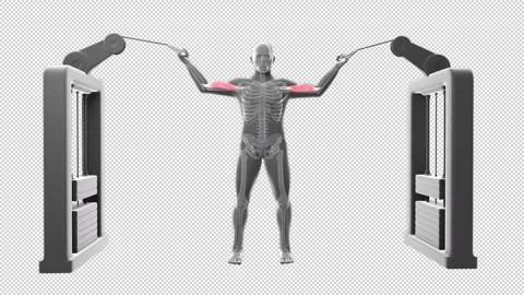 High Cable Curl 스톡 동영상 164319145