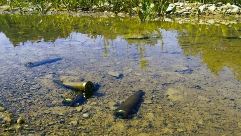 High Caliber Bullet Shells Resting in a Shallow Puddle Stock Footage 338001791