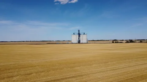 High capacity grain elevator, Alberta Stock Footage 211787874