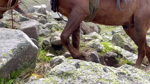 High Caucasus mountains rocky path route with a moving horses' lens loaded with Stock-Footage 220085651