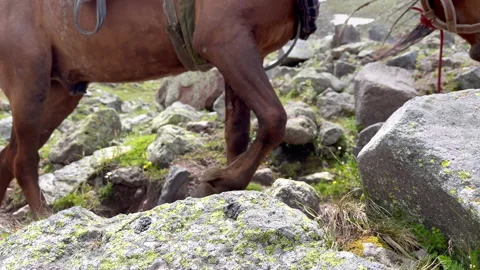 High Caucasus mountains rocky path route with a moving horses' lens loaded Stock Footage 227286603