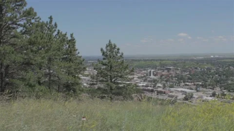 High City View From Forest Stock Footage 47745677