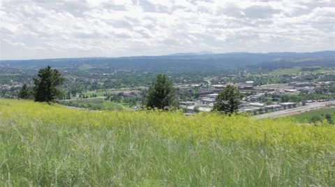 High City View From Grassy Forest Stock Footage 47745304