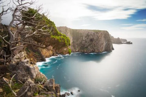 High cliff in backlight with a juniper at edge - long exposure makes the tree Stock Photos