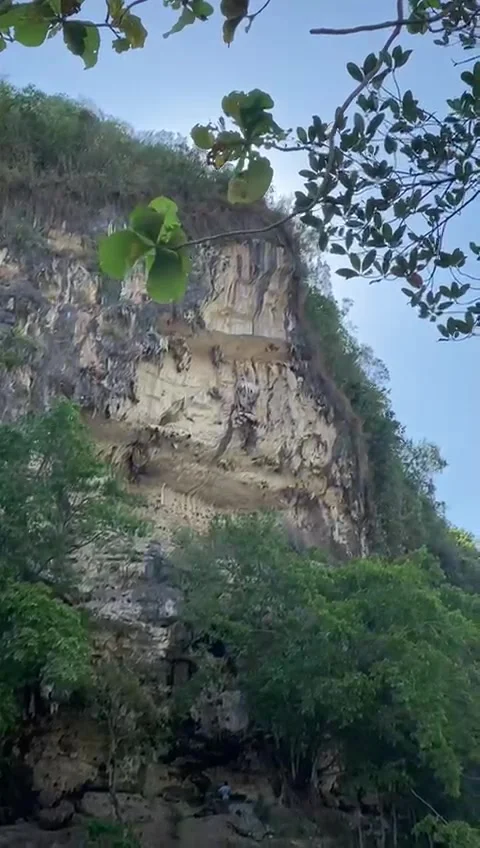 High cliff Stock Footage 316735286