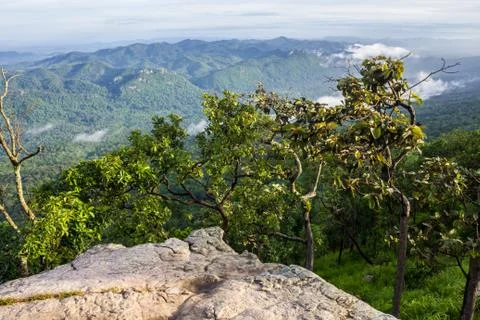 High cliff Stock Photos