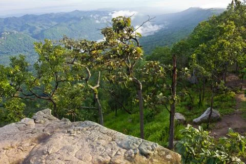 High cliff Stock Photos