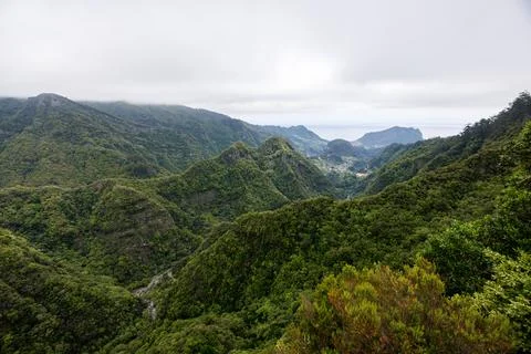 High cliffs covered with green tropical vegetation in the Atlantic Ocean ag.. Stock Photos