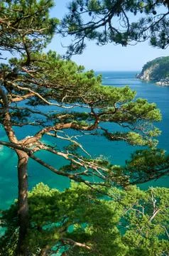 High cliffs in the ocean. 스톡 사진