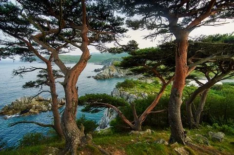 High cliffs in the ocean. 写真素材