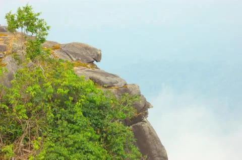 High cliffs in the rain forest. Stock Photos