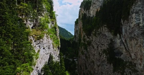 High Cliffs Surrounding Mountain Road Passage Evergreen Forest Aerial Fly Video stock 300478743