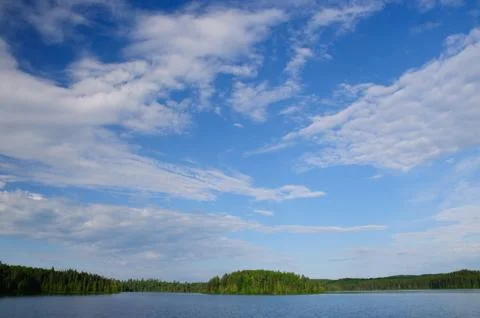 High clouds in the north woods Stockfoto's