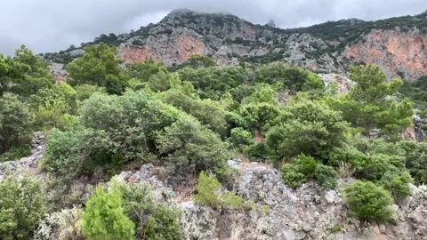 High cloudy covered with trees mountain view from the bottom side. 4k stock v Stock Footage 139825633