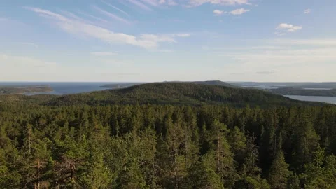 HIGH COAST AERIAL VIEW Stock Footage 158052636