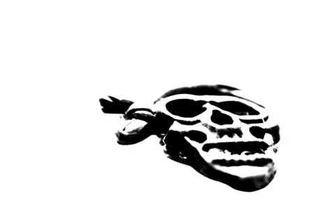 High contrast black and white silhouette of a pirate skull isolated. Stock Illustration