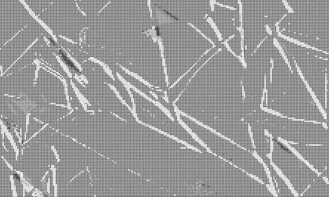 High contrast black halftone dot pattern on white background with sharp arc.. Stock Illustration