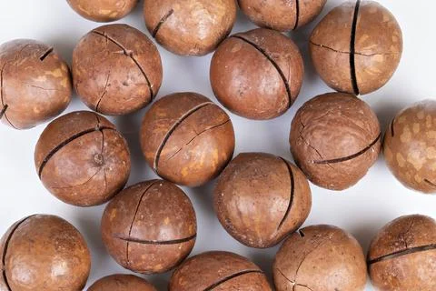 High contrast studio lighting highlights round macadamia nuts pattern for brandi 写真素材