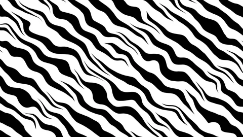 High-contrast wavy zebra-like pattern with flowing organic stripes creating.. Видео 330558121