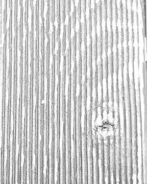 High-contrast white wooden plank texture with distinct vertical grain and knot Stock Photos