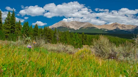 High Country Mountain Range Fields of Sage Brush Pine Forest Time Lapse 4K Stock Footage 129353835