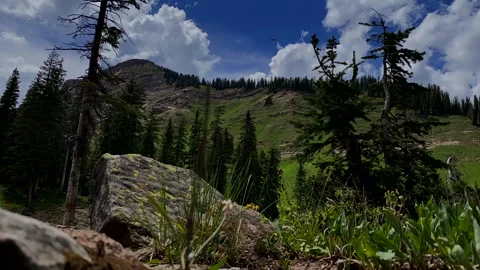 High country summer Video stock 135452957