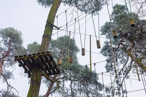 High in the crowns of the trees stretched the cables of the rope park. Area.. Foto stock