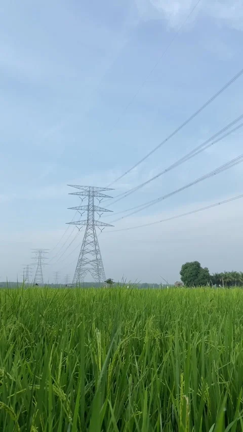 High current electric pole Stock Footage 276568440
