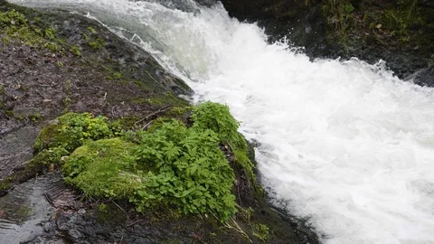 High debit mountain river Stockbeeldmateriaal 88810959