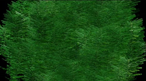 High Definition 1080P HD Abstract Esplosion Particle Aplha Channel Effects Stock Footage 132730
