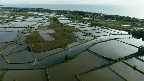 A high definition drone view of a large fish farming pond Stock Photos