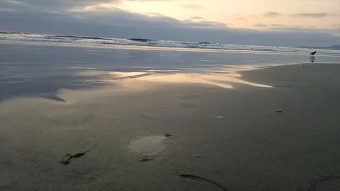 High definition parallax left to right slow motion of a public beach Stock Footage 93975241