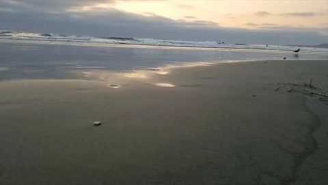 High definition parallax left to right slow motion of a public beach Stock Footage 94035672