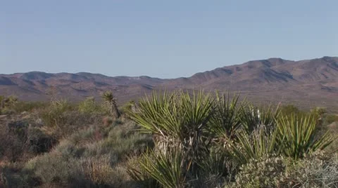 High Desert 2 Stock Footage 10608980