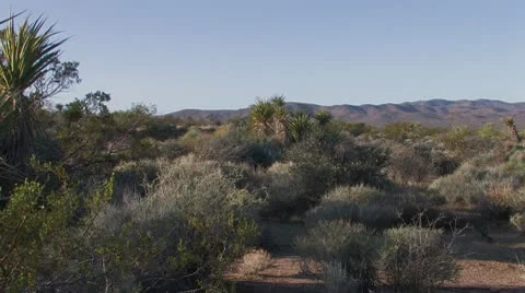 High Desert 4 Stock Footage 10609303