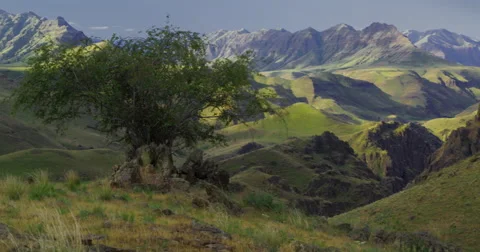 High Desert canyons, green from spring rains, Imnaha River OR Stock Footage 59545739