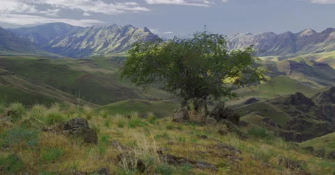 High Desert canyons, green from spring rains, Imnaha River OR Stock Footage 59548877
