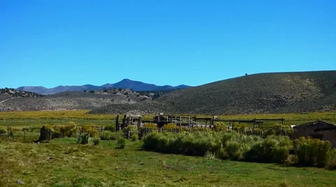 High Desert Cattle Ranch Cows Grazing Video stock 47474365