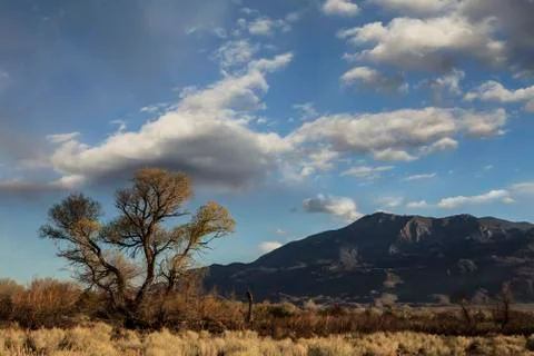 High desert evening Stock Photos