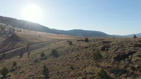 High Desert Video stock 141623716