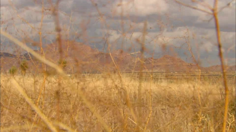 High Desert Grass Forground 스톡 동영상 33637282